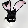 Profile black_velvet_bunny_carta_alta_maschere_veneziane